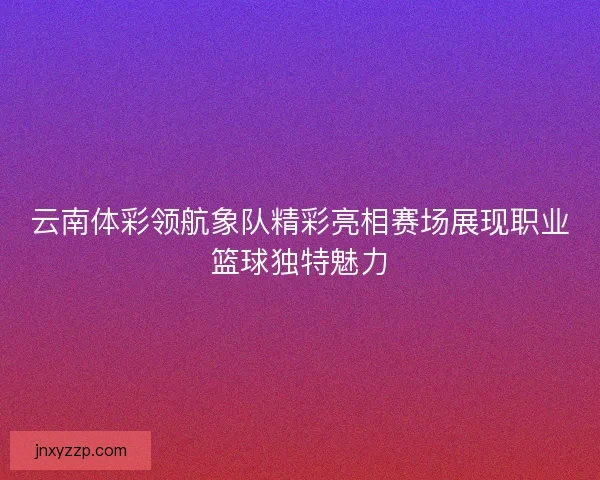 云南体彩领航象队精彩亮相赛场展现职业篮球独特魅力 云南体彩领航象队精彩亮相赛场展现职业篮球独特魅力